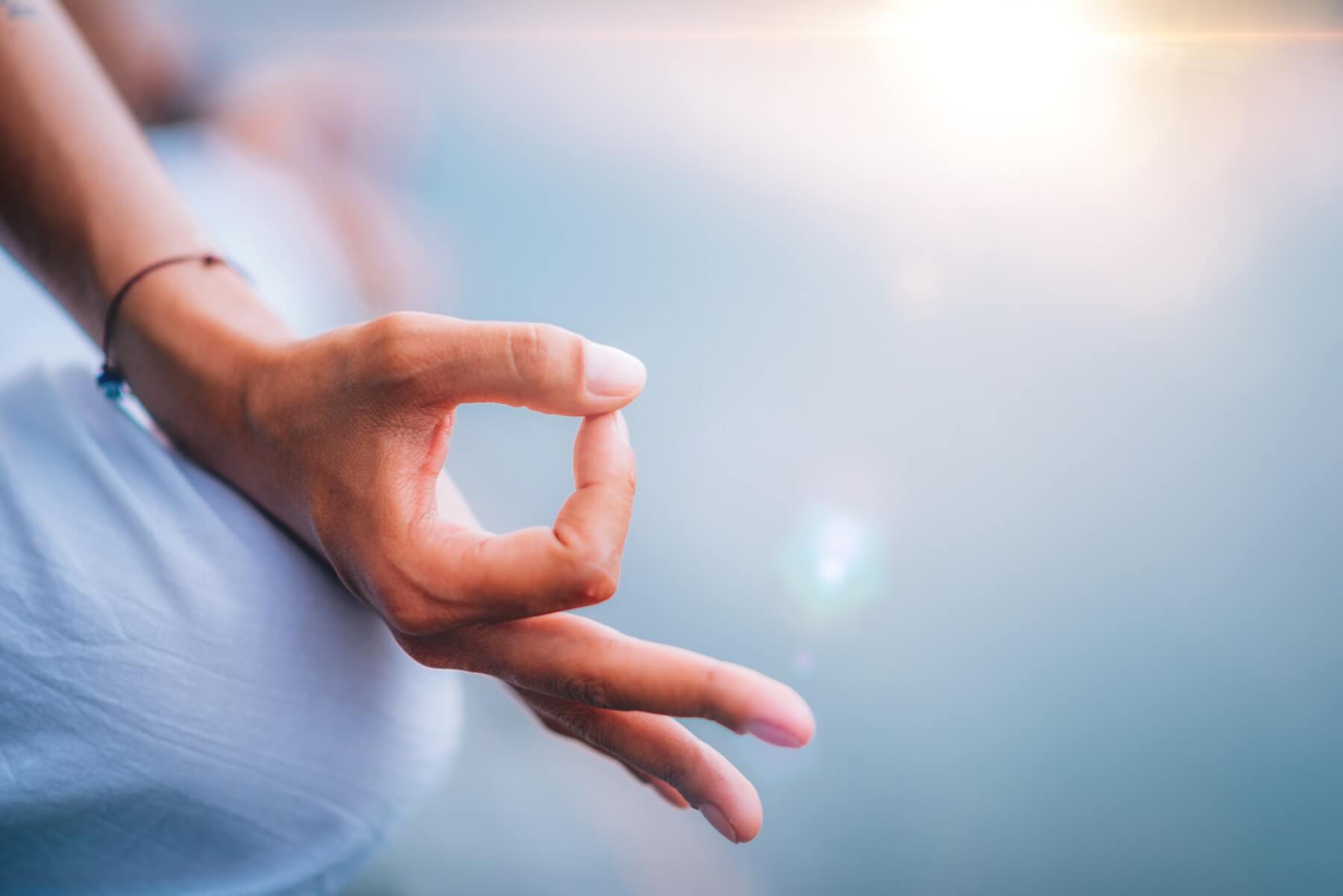 Yoga Woman Hands. Lotus Position